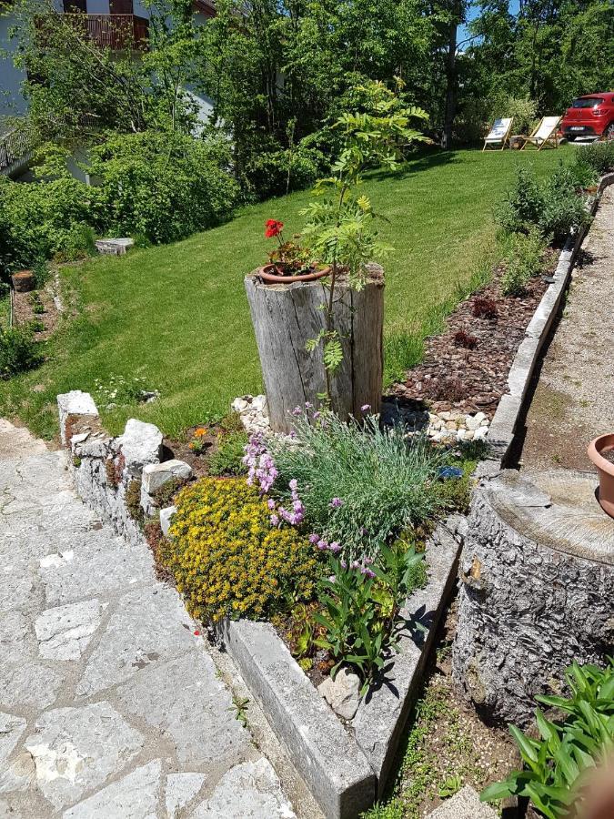 B&B I Faggi Lavarone Exteriér fotografie